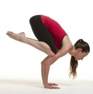 crow-yoga-kinesis