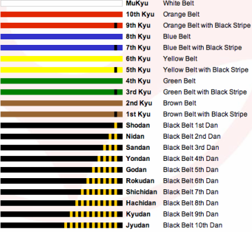 belt kyokushin